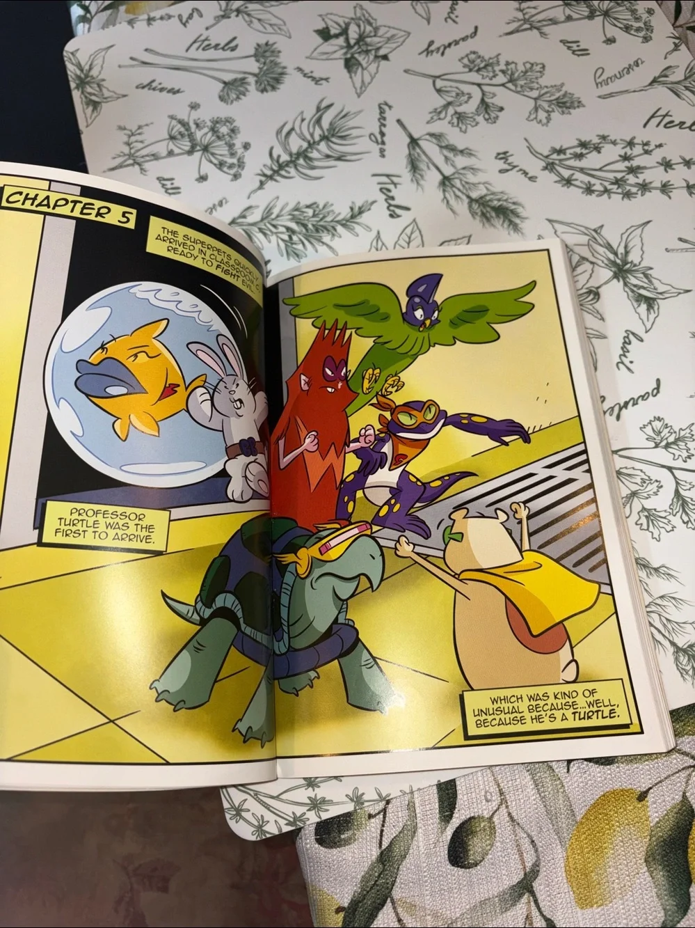 Diary of a Wimpy Kid: Hard Luck & Super Turbo vs. The Flying Ninja Book Bundle